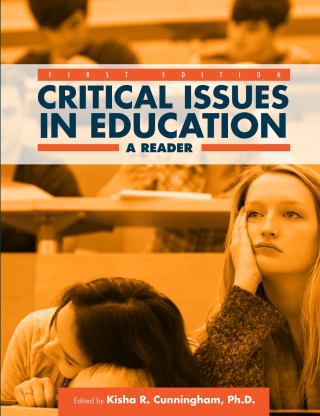 Cover image: Critical Issues in Education 1st edition 9781634872904