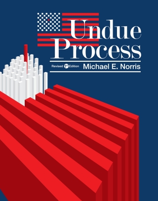 Cover image: Undue Process 1st edition 9781516527052
