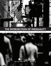 表紙画像: The Intersection of Inequality 1st edition 9781516501977