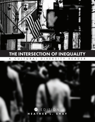 Cover image: The Intersection of Inequality 1st edition 9781516501977