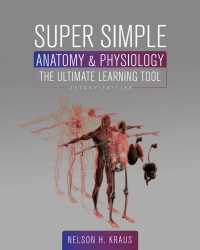 Omslagafbeelding: Super Simple Anatomy and Physiology 2nd edition 9781793517739