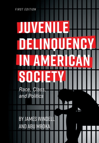 Cover image: Juvenile Delinquency in American Society 1st edition 9781516512911