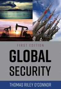 Cover image: Global Security 1st edition 9781516515639