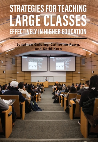 Cover image: Strategies for Teaching Large Classes Effectively in Higher Education 1st edition 9781516519637
