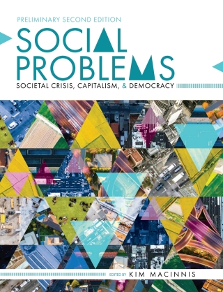 Imagen de portada: Social Problems ebook plus Active Learning courseware 2nd edition 9781793570352