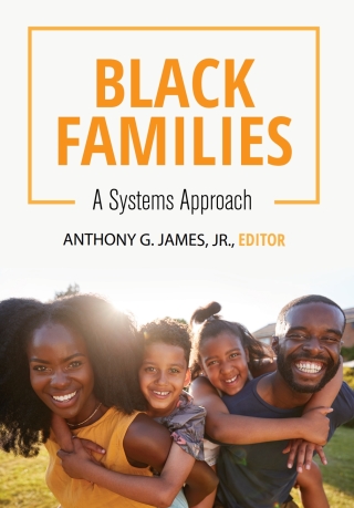Cover image: Black Families 1st edition 9781516524402