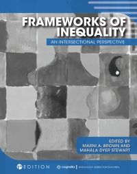 Cover image: Frameworks of Inequality 1st edition 9781516524815