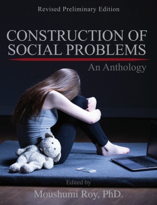 Cover image: Construction of Social Problems 1st edition 9781516525218
