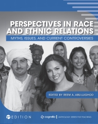 Cover image: Perspectives in Race and Ethnic Relations 1st edition 9781516597086