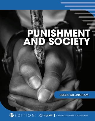 Cover image: Punishment and Society 1st edition 9781516532544