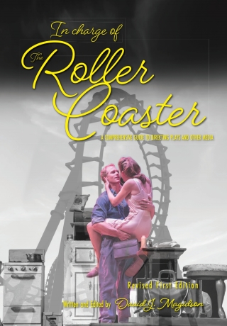 Cover image: In Charge of the Roller Coaster 1st edition 9781793515148