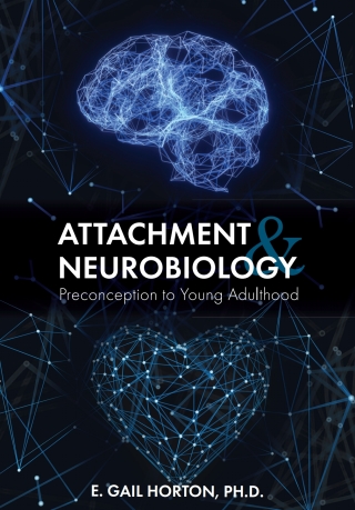 Immagine di copertina: Attachment and Neurobiology 1st edition 9781516538720
