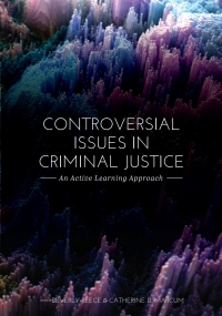 Cover image: Controversial Issues in Criminal Justice 1st edition 9781516543267