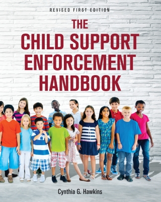 Omslagafbeelding: The Child Support Enforcement Handbook 1st edition 9781516585694
