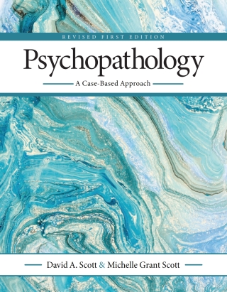 Cover image: Psychopathology 1st edition 9798823310802
