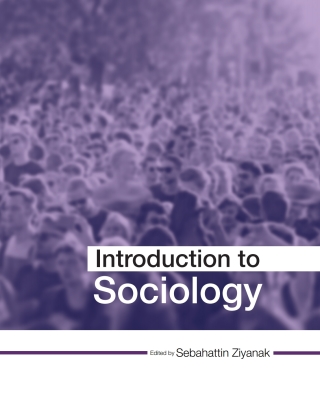 Cover image: Introduction to Sociology 1st edition 9781516596232