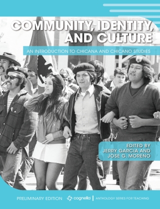 Cover image: Community, Identity, and Culture 1st edition 9781516596416