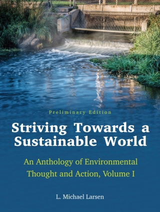 Imagen de portada: Striving Towards a Sustainable World 1st edition 9781516596553