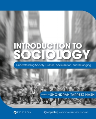 Imagen de portada: Introduction to Sociology 1st edition 9781516580255