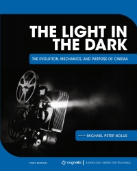 Cover image: The Light in the Dark 1st edition 9781516582747