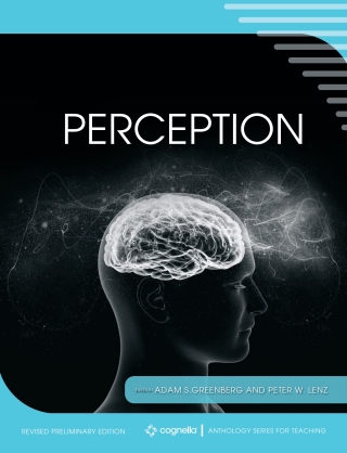 Cover image: Perception 1st edition 9781516588077