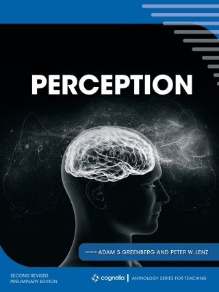 Imagen de portada: Perception 1st edition 9781793546289