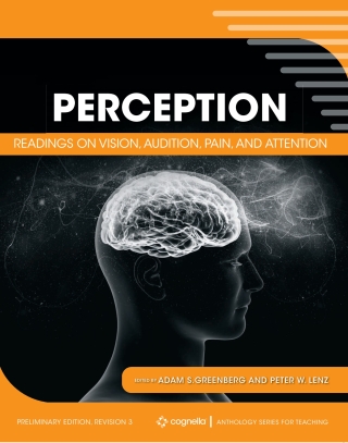 Immagine di copertina: Perception 1st edition 9781793564818