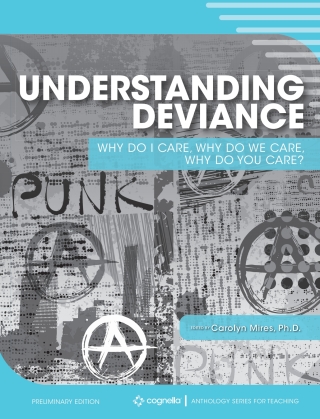 Cover image: Understanding Deviance 1st edition 9781516588756