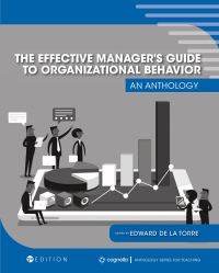 Cover image: The Effective Manager's Guide to Organizational Behavior 1st edition 9781793513939