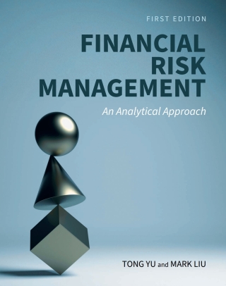 Immagine di copertina: Financial Risk Management 1st edition 9798823382182