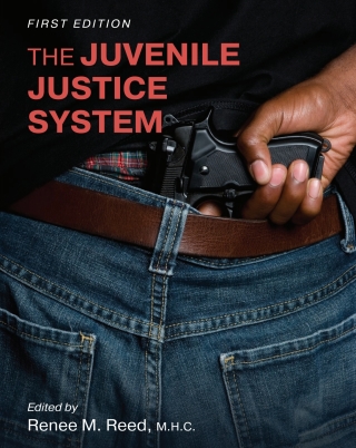 Cover image: The Juvenile Justice System 1st edition 9781793518828
