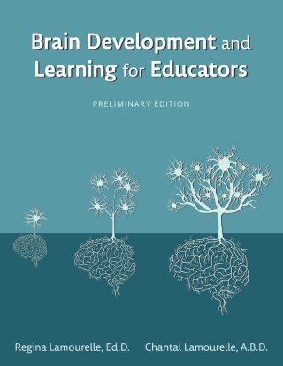 Cover image: Brain Development and Learning for Educators 1st edition 9781793521286