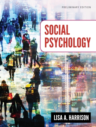 Cover image: Social Psychology 1st edition 9781793535870