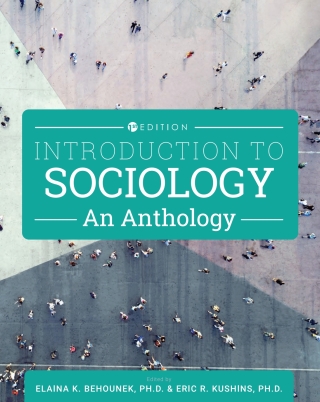 Imagen de portada: Introduction to Sociology 1st edition 9781793571748