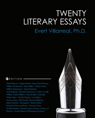 صورة الغلاف: Twenty Literary Essays 1st edition 9781793540966