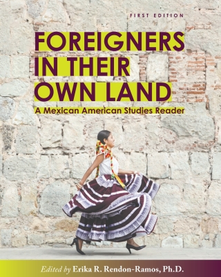 Cover image: Foreigners in their Own Land 1st edition 9781793543578