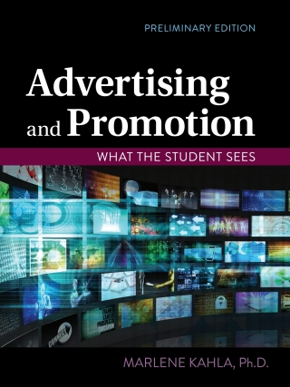 Cover image: Advertising and Promotion, What the Student Sees 1st edition 9781793545251