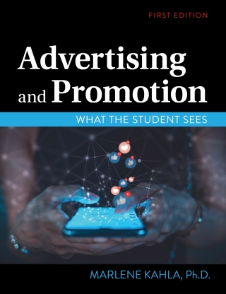 Titelbild: Advertising and Promotion 1st edition 9781793545268