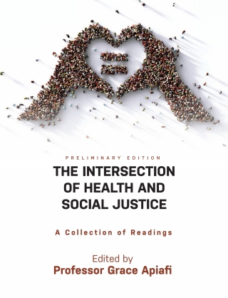 Cover image: The Intersection of Health and Social Justice 1st edition 9781793553423