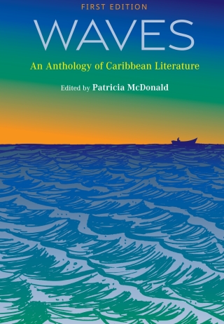 Cover image: Waves 1st edition 9781793554024