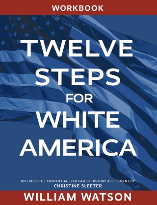 Cover image: Twelve Steps for White America 1st edition 9781793554826