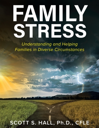 Cover image: Family Stress 1st edition 9781793557797