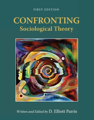 Cover image: Confronting Sociological Theory 1st edition 9781793559753