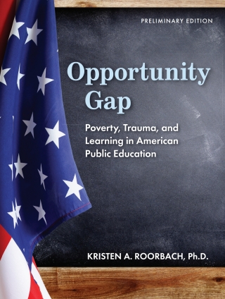 Cover image: Opportunity Gap 1st edition 9781793567765