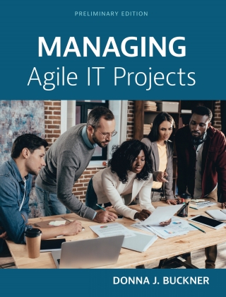 Omslagafbeelding: Managing Agile IT Projects 1st edition 9781793568403