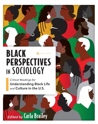 Imagen de portada: Black Perspectives in Sociology 1st edition 9781793573209