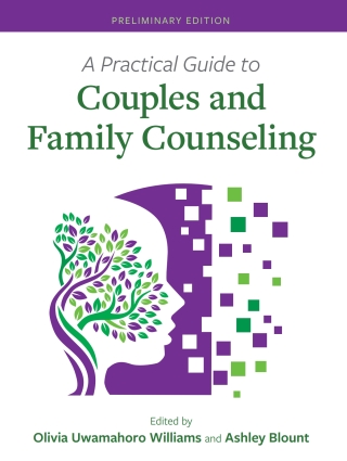 Cover image: A Practical Guide to Couples and Family Counseling 1st edition 9781793573520