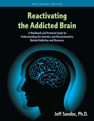 Cover image: Reactivating the Addicted Brain--CUSTOM FOR TROY UNIVERSITY 1st edition 9781793577207