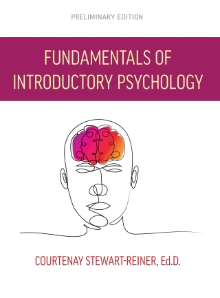 Cover image: Fundamentals of Introductory Psychology 1st edition 9781793587312