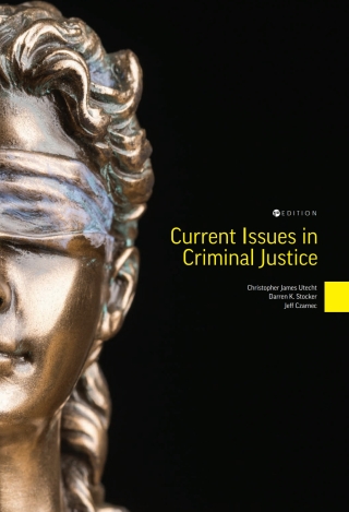 Cover image: Current Issues in Criminal Justice 1st edition 9798823310796